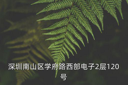 深圳盛寶泰，深圳南山區學府路西部電子2層120號
