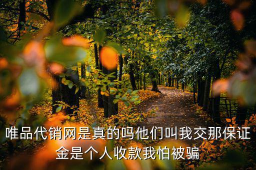 唯品代銷網是真的嗎他們叫我交那保證金是個人收款我怕被騙