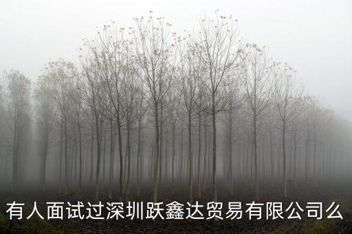 有人面試過深圳躍鑫達貿(mào)易有限公司么