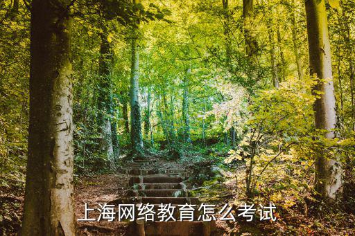 上海網(wǎng)絡(luò)教育怎么考試
