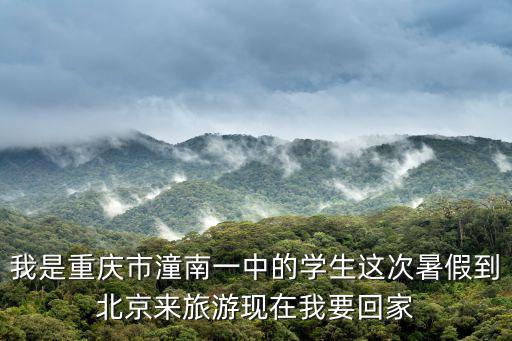 重慶市潼南縣潼南第一中學校，潼南1中2010級有幾個班
