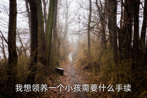 我想領(lǐng)養(yǎng)一個(gè)小孩需要什么手續(xù)