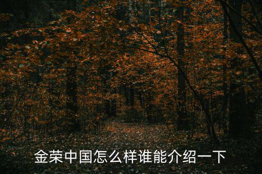 金榮中國怎么樣誰能介紹一下