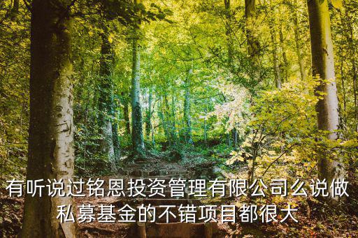 有聽說過銘恩投資管理有限公司么說做私募基金的不錯項目都很大
