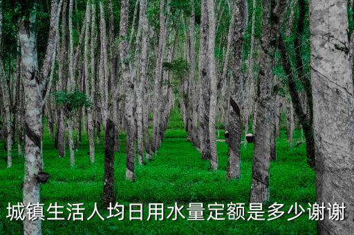 城鎮生活人均日用水量定額是多少謝謝