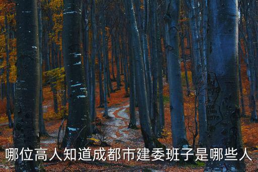 哪位高人知道成都市建委班子是哪些人