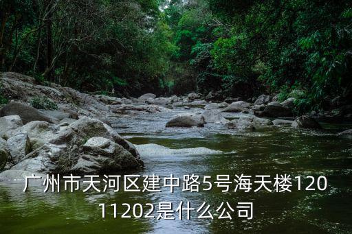 廣州市天河區建中路5號海天樓12011202是什么公司