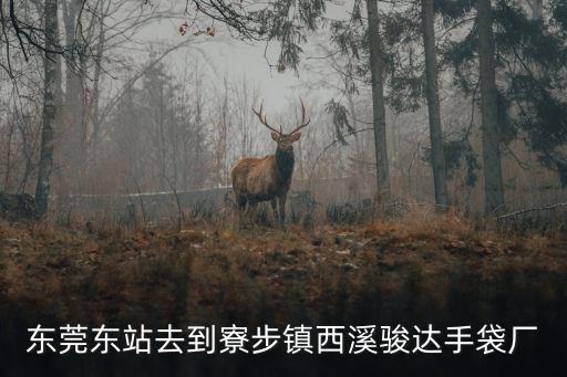 東莞東站去到寮步鎮(zhèn)西溪駿達(dá)手袋廠(chǎng)