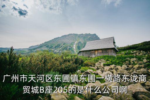 廣州市天河區(qū)東圃鎮(zhèn)東圃一橫路東瀧商貿(mào)城B座205的是什么公司啊