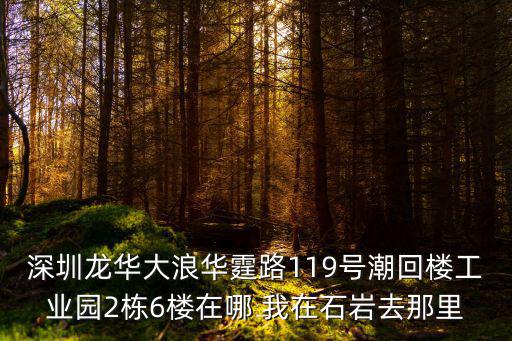 深圳龍華大浪華霆路119號潮回樓工業園2棟6樓在哪 我在石巖去那里