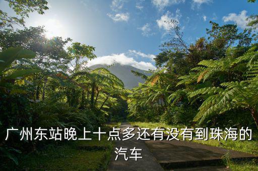廣州東站晚上十點(diǎn)多還有沒有到珠海的汽車