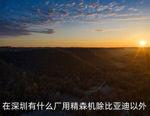 在深圳有什么廠用精森機除比亞迪以外