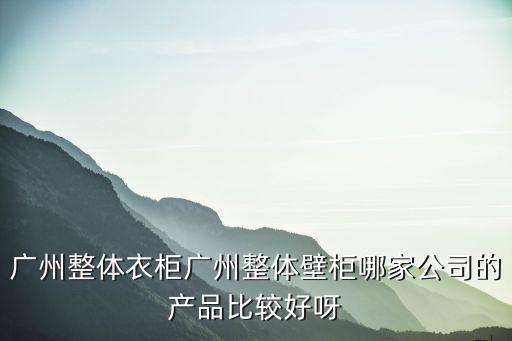 廣州整體衣柜廣州整體壁柜哪家公司的產(chǎn)品比較好呀