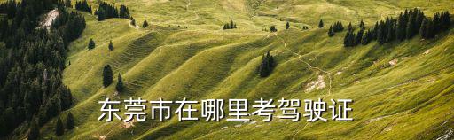 東莞市在哪里考駕駛證