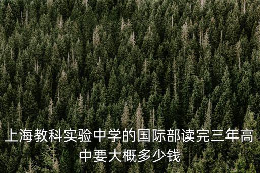 上海市示范性高中收費標準，上海城博興高中 一年的 費用 大約多少生活費除外