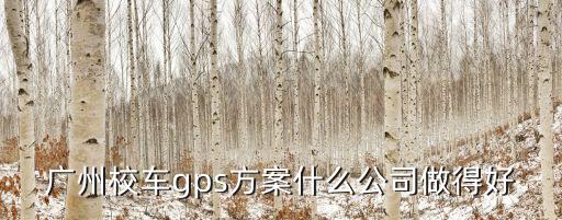 廣州校車(chē)gps方案什么公司做得好