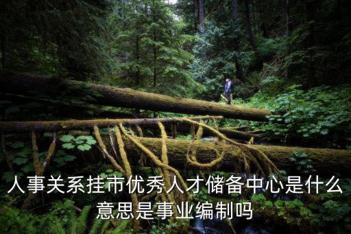 人事關系掛市優秀人才儲備中心是什么意思是事業編制嗎
