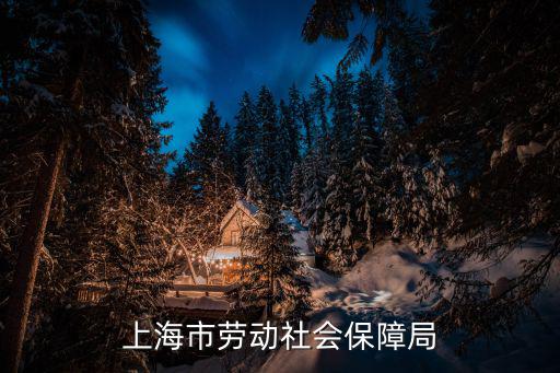 上海市社保咨詢，請問上海市的勞動保障咨詢電話是什么