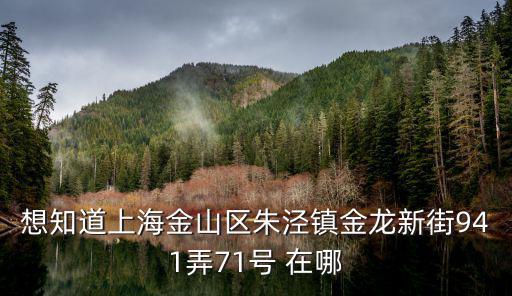 上海市朱涇鎮疾病控制中心地址，想知道上海金山區朱涇鎮金龍新街941弄71號 在哪