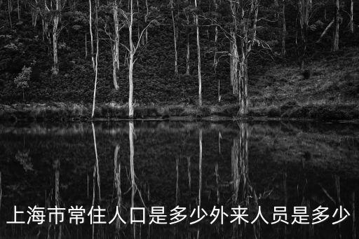 上海市常住人口是多少外來(lái)人員是多少