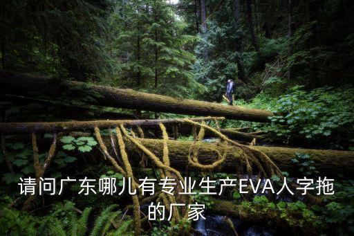 請問廣東哪兒有專業生產EVA人字拖的廠家