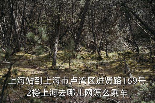 上海站到上海市盧灣區進賢路169號2樓上海去哪兒網怎么乘車