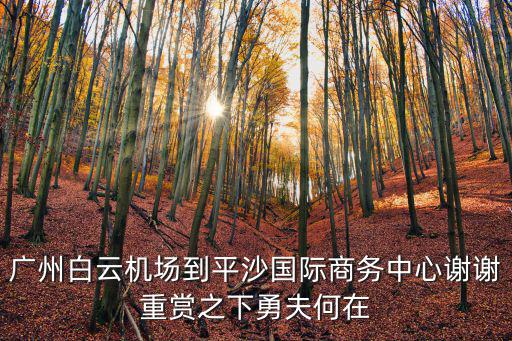 廣州白云機場到平沙國際商務中心謝謝重賞之下勇夫何在