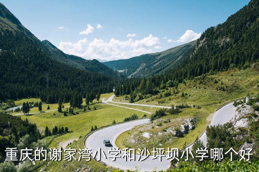 重慶的謝家灣小學和沙坪壩小學哪個好