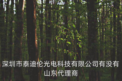 深圳市泰迪倫光電科技有限公司有沒有山東代理商