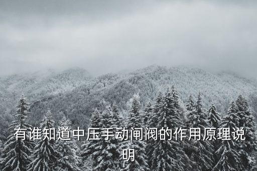  有誰知道中壓手動(dòng)閘閥的作用原理說明
