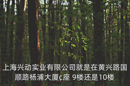 上海興動(dòng)實(shí)業(yè)有限公司就是在黃興路國(guó)順路楊浦大廈c座 9樓還是10樓