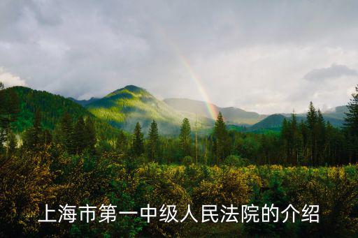 上海市人民法院各部門職責，法院里各個職位的職責是什么