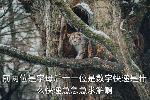 前兩位是字母后十一位是數(shù)字快遞是什么快遞急急急求解啊