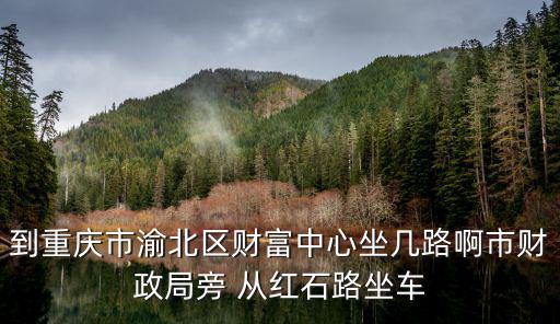 到重慶市渝北區財富中心坐幾路啊市財政局旁 從紅石路坐車
