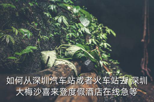 如何從深圳汽車站或者火車站去 深圳大梅沙喜來登度假酒店在線急等