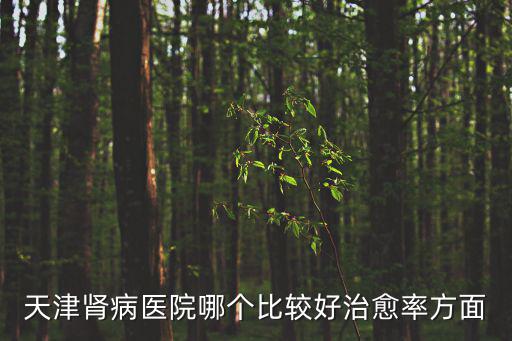 天津腎病醫(yī)院哪個比較好治愈率方面