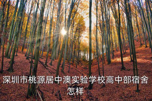 深圳市桃源居中澳實(shí)驗(yàn)學(xué)校高中部宿舍怎樣