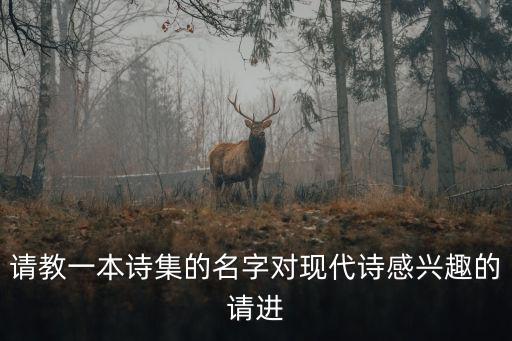 請教一本詩集的名字對現(xiàn)代詩感興趣的請進