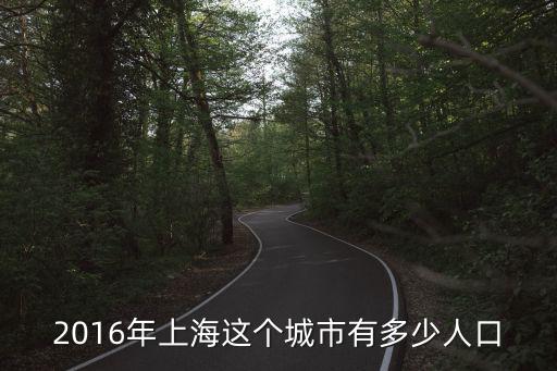 2016年上海這個(gè)城市有多少人口