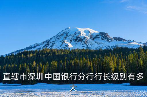 深圳中國銀行行長，直轄市深圳中國銀行分行行長級別有多大