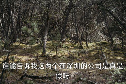 誰能告訴我這兩個在深圳的公司是真是假呀