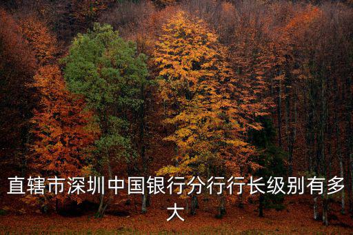 直轄市深圳中國銀行分行行長級別有多大