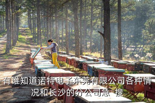 有誰知道諾特電子東莞有限公司各種情況和長沙的分公司急  搜
