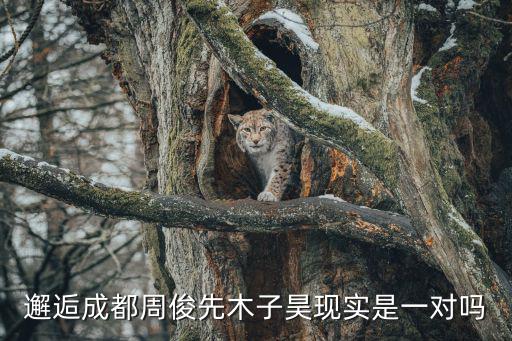 邂逅成都周俊先木子昊現實是一對嗎
