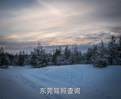 東莞駕照查詢