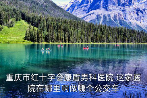重慶市紅十字會康盾男科醫院 這家醫院在哪里啊做哪個公交車