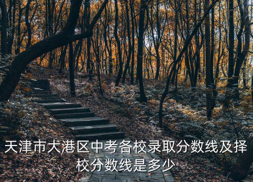 天津市大港二中學區分片，天津市大港二中買周圍那個小區的房子可以上