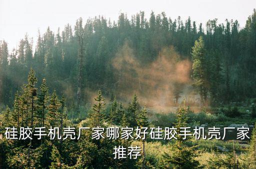 硅膠手機(jī)殼廠(chǎng)家哪家好硅膠手機(jī)殼廠(chǎng)家推薦