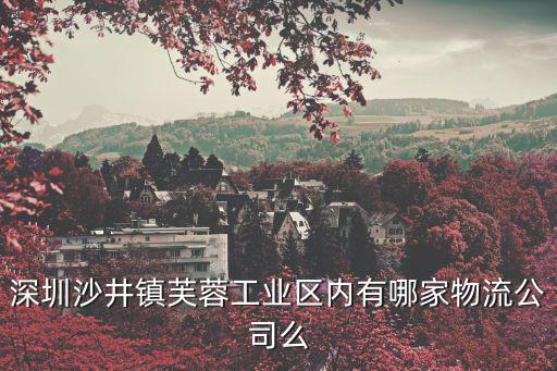 深圳沙井鎮芙蓉工業區內有哪家物流公司么