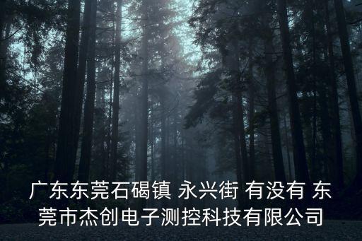 廣東東莞石碣鎮 永興街 有沒有 東莞市杰創電子測控科技有限公司